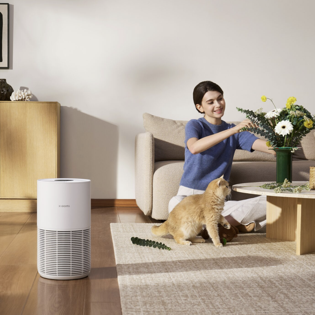 Xiaomi Smart Pet Care Air Purifier