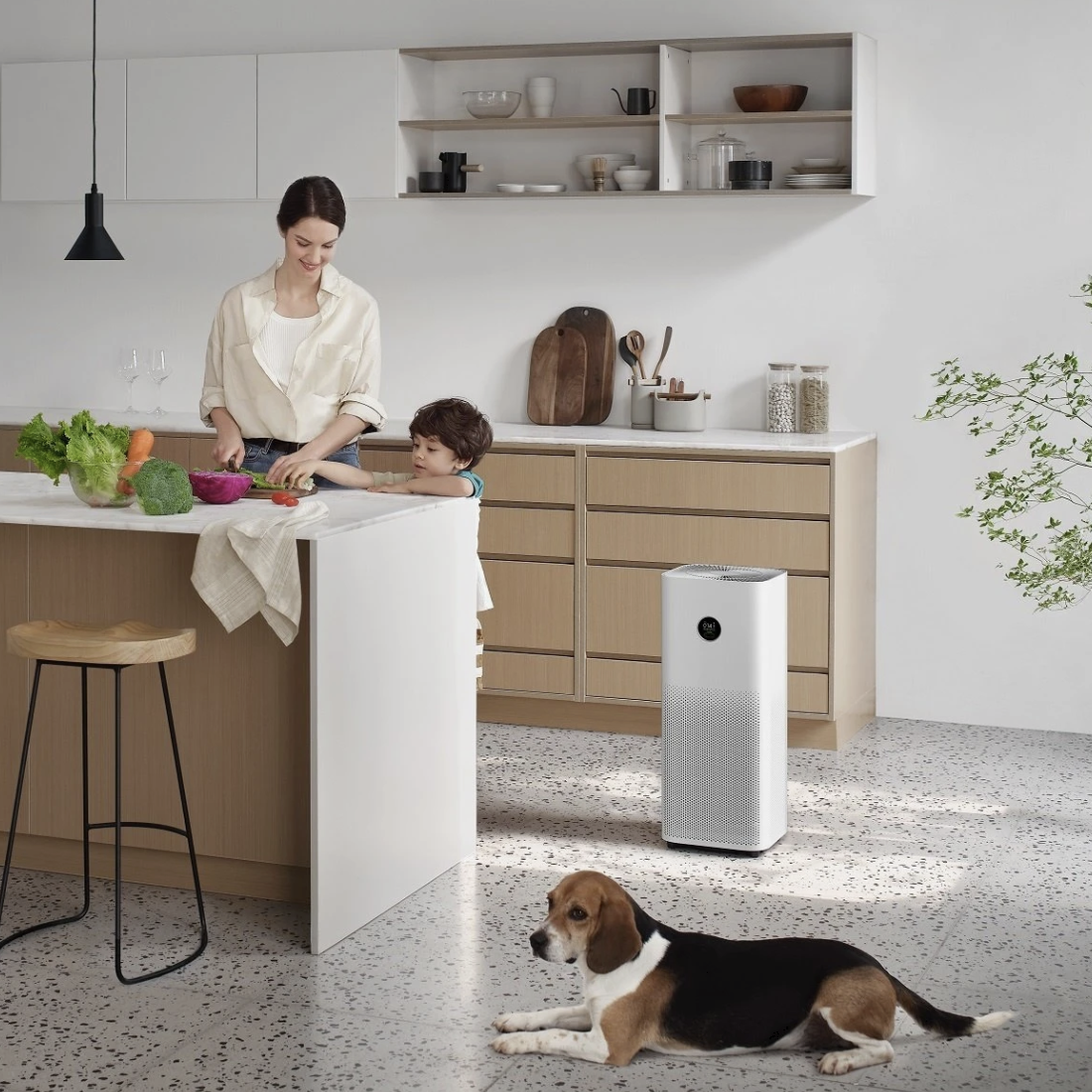 Xiaomi Smart Air Purifier 4 Pro