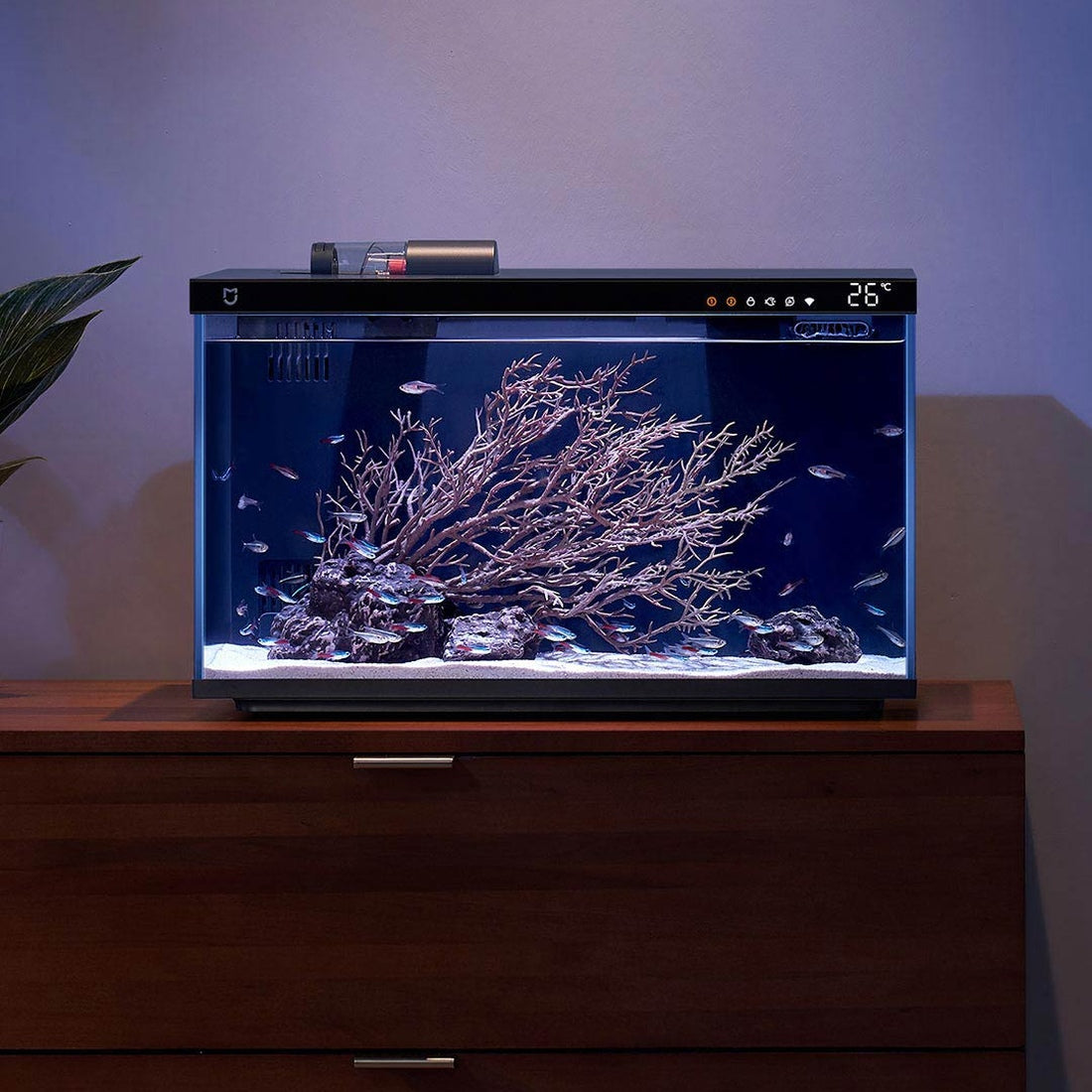 Xiaomi Mijia Smart Fish Tank 20L, manufacturer aquarium setup illustration; fish and decoration not included