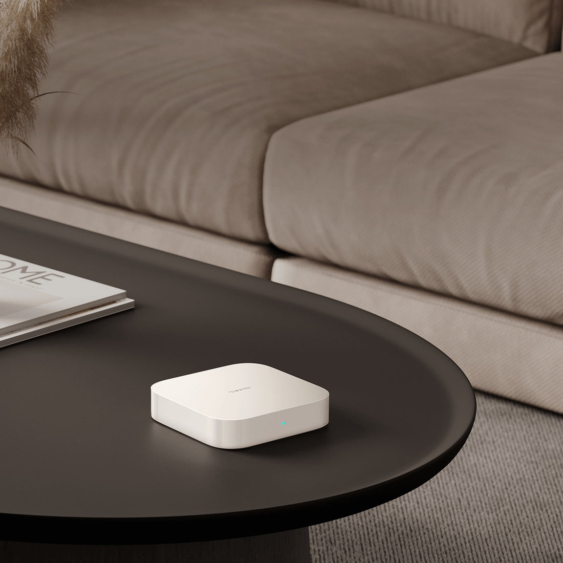 Xiaomi Smart Home Hub 2 on a living room coffee table